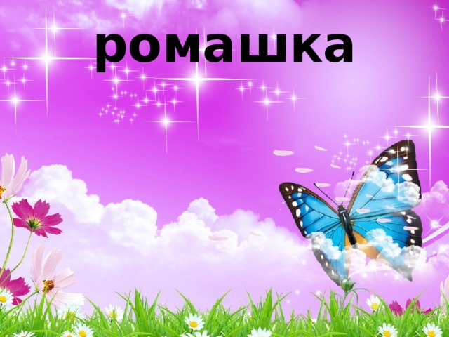 ромашка 