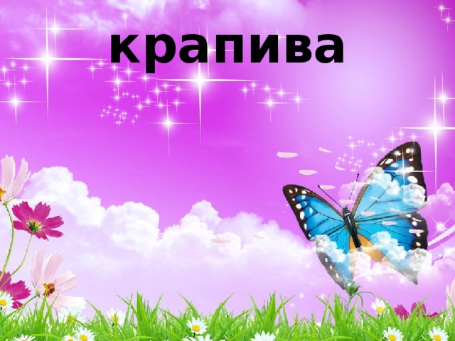 крапива 