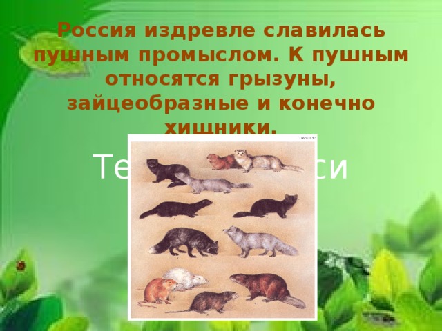 Россия издревле славилась пушным промыслом. К пушным относятся грызуны, зайцеобразные и конечно хищники. Текст надписи  