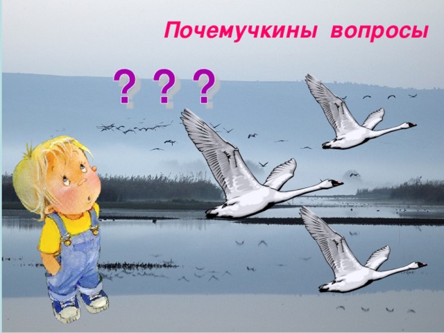 Почемучкины вопросы 