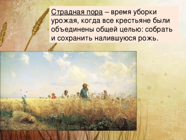 C традная пора – время уборки урожая, когда все крестьяне были объединены общей целью: собрать и сохранить налившуюся рожь. 