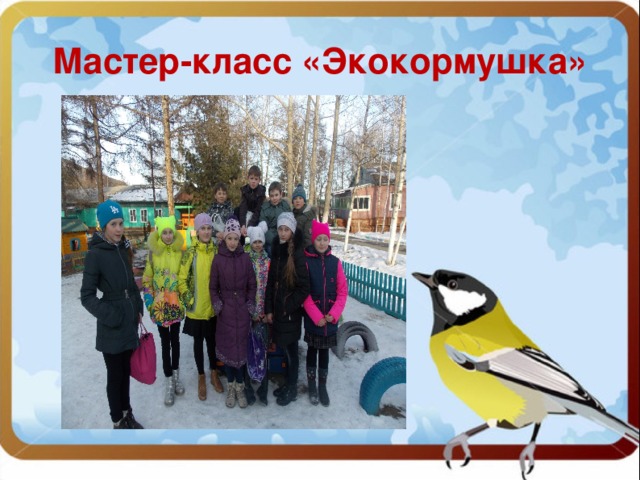 Мастер-класс «Экокормушка» 