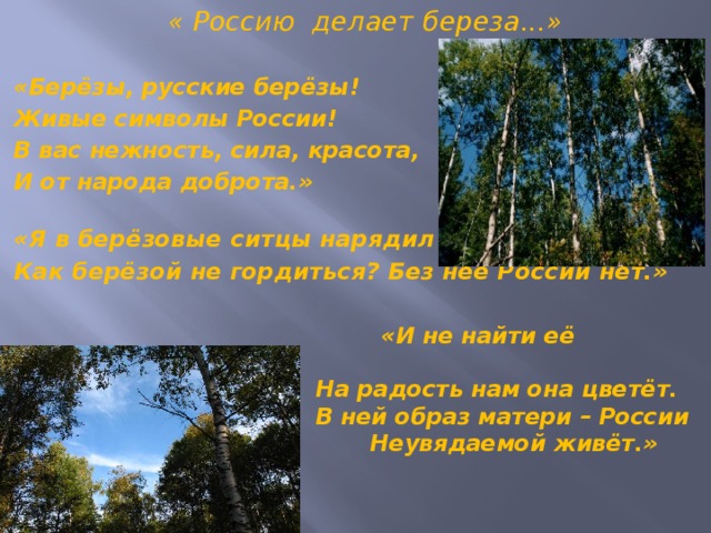  « Россию делает береза...»  «Берёзы, русские берёзы! Живые символы России! В вас нежность, сила, красота, И от народа доброта.»  «Я в берёзовые ситцы нарядил бы целый свет. Как берёзой не гордиться? Без неё России нет.»   «И не найти её красивей,  На радость нам она цветёт.  В ней образ матери – России  Неувядаемой живёт.» 