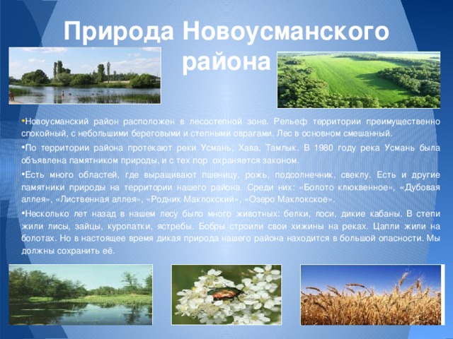 Природа Новоусманского района • Новоусманский район расположен в лесостепной зоне. Рельеф территории преимущественно спокойный, с небольшими береговыми и степными оврагами. Лес в основном смешанный. • По территории района протекают реки Усмань, Хава, Тамлык. В 1980 году река Усмань была объявлена памятником природы, и с тех пор охраняется законом. • Есть много областей, где выращивают пшеницу, рожь, подсолнечник, свеклу. Есть и другие памятники природы на территории нашего района. Среди них: «Болото клюквенное», «Дубовая аллея», «Лиственная аллея», «Родник Маклокский», «Озеро Маклокское». • Несколько лет назад в нашем лесу было много животных: белки, лоси, дикие кабаны. В степи жили лисы, зайцы, куропатки, ястребы. Бобры строили свои хижины на реках. Цапли жили на болотах. Но в настоящее время дикая природа нашего района находится в большой опасности. Мы должны сохранить её. 