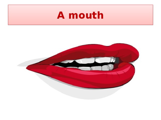 A mouth 