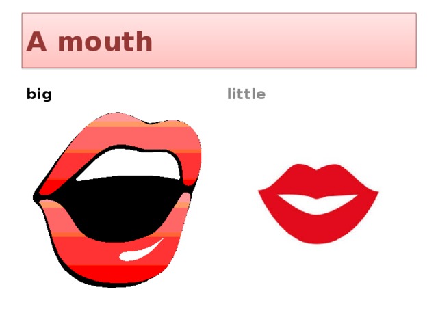 A mouth big little 
