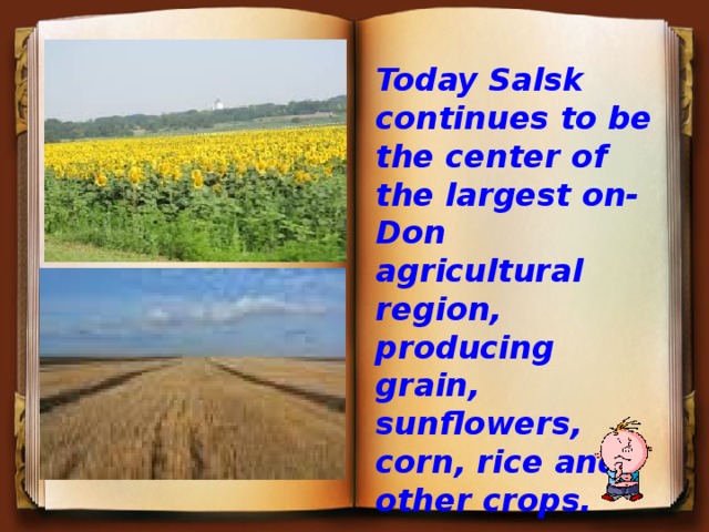 Today Salsk continues to be the center of the largest on-Don agricultural region, producing grain, sunflowers, corn, rice and other crops.  