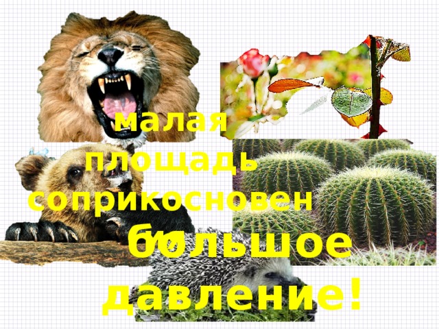 малая площадь соприкосновения большое давление! 