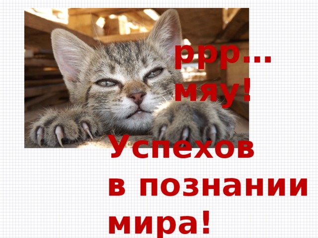ррр… мяу! Успехов в познании мира! 