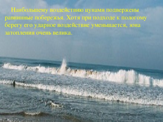  Наибольшему воздействию цунами подвержены равнинные побережья. Хотя при подходе к пологому берегу его ударное воздействие уменьшается, зона затопления очень велика. 