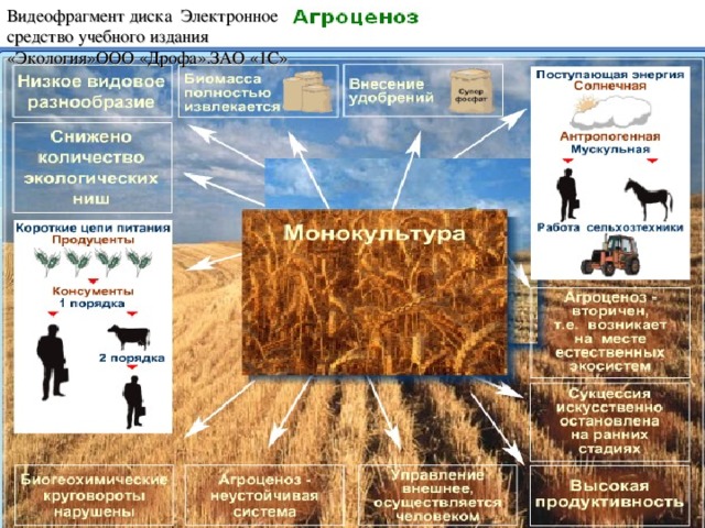 Видеофрагмент диска Электронное средство учебного издания «Экология»ООО «Дрофа».ЗАО «1С» 