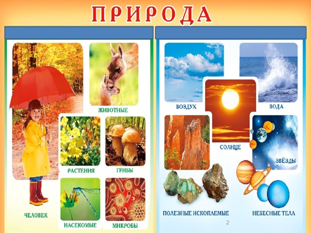 Субаева Е.В., учитель начальных классов  