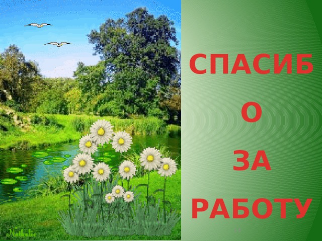 СПАСИБО ЗА РАБОТУ!  Субаева Е.В., учитель начальных классов 