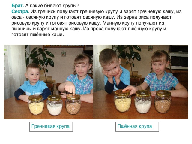 Брат.  А какие бывают крупы?  Сестра. Из гречихи получают гречневую крупу и варят гречневую кашу, из овса - овсяную крупу и готовят овсяную кашу. Из зерна риса получают рисовую крупу и готовят рисовую кашу. Манную крупу получают из пшеницы и варят манную кашу. Из проса получают пшённую крупу и готовят пшённые каши. Гречневая крупа Пшённая крупа 