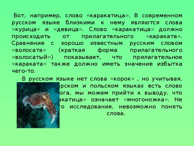 Вот, например, слово «каракатица». В современном русском языке близкими к нему являются слова «курица» и «девица». Слово «каракатица» должно происходить от прилагательного «караката». Сравнение с хорошо известным русским словом «волосата» (краткая форма прилагательного «волосатый») показывает, что прилагательное «караката» также должно иметь значение избытка чего-то. В русском языке нет слова «корок» , но учитывая, что в болгарском и польском языках есть слово «крак» — нога, мы можем прийти к выводу, что слово «каракатица» означает «многоножка». Не сделав этого исследования, невозможно понять значения слова.