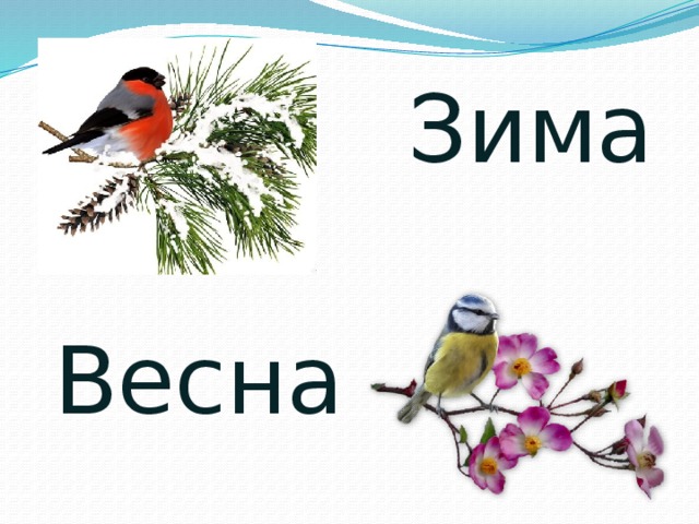  Зима Весна 