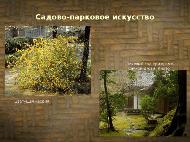 Садово-парковое искусство Мховый сад при храме Сайхой-джи в Киото Цветущая керрия 