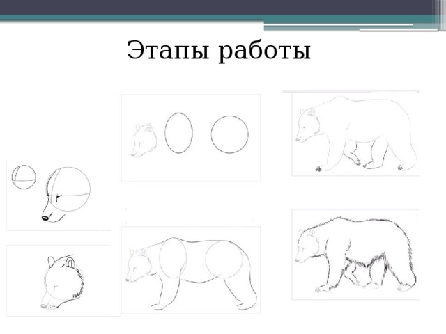 Этапы работы 