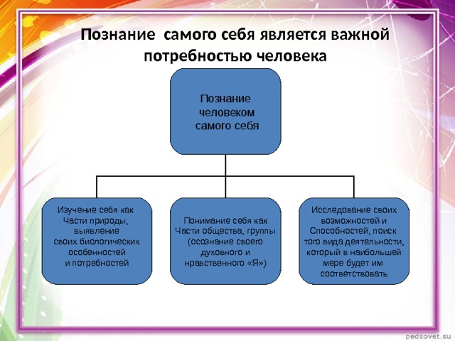 Познание самого себя является важной потребностью человека Изучение себя как Части природы, выявление  своих биологических особенностей и потребностей Понимание себя как Части общества, группы (осознание своего  духовного и нравственного «Я») Исследование своих  возможностей и Способностей, поиск того вида деятельности, который в наибольшей мере будет им соответствовать 