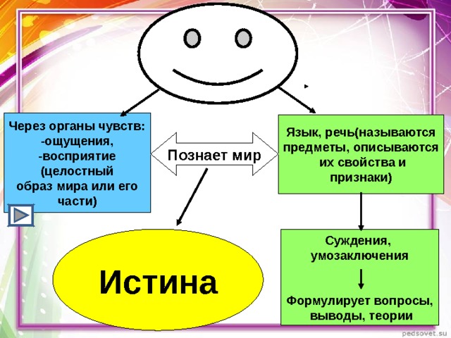 Через органы чувств: -ощущения, -восприятие (целостный образ мира или его части) Язык, речь(называются предметы, описываются  их свойства и признаки) Познает мир Суждения, умозаключения   Формулирует вопросы,  выводы, теории Истина 