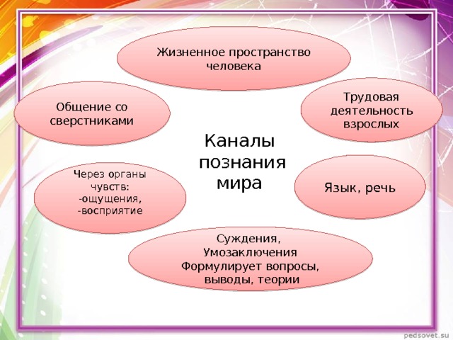 Жизненное пространство человека Трудовая деятельность взрослых Общение со сверстниками Каналы  познания  мира Язык, речь Через органы чувств: -ощущения, -восприятие Суждения, Умозаключения Формулирует вопросы,  выводы, теории 
