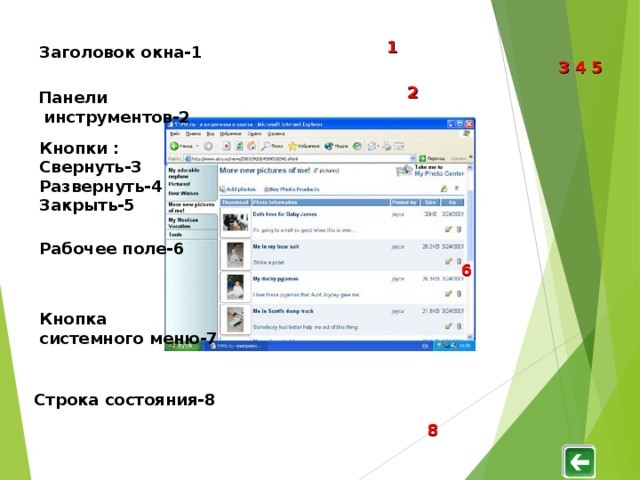 1 Заголовок окна-1 3 4 5 2 Панели  инструментов-2 Кнопки :  Свернуть-3 Развернуть-4 Закрыть-5 Рабочее поле-6 6 Кнопка системного меню-7 Строка состояния-8 8 