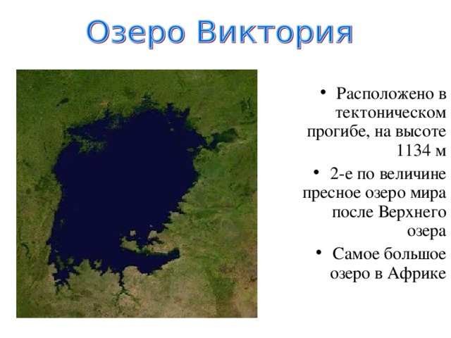 Дельта Нигера