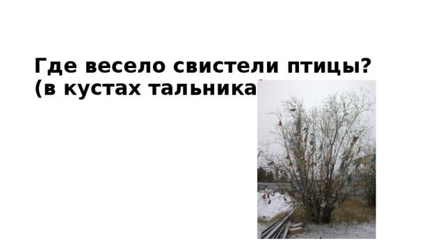 Где весело свистели птицы?  (в кустах тальника) 