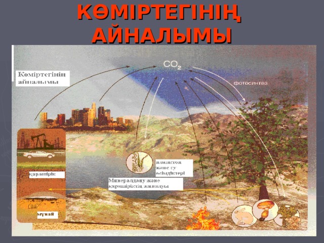КӨМІРТЕГІНІҢ АЙНАЛЫМЫ 