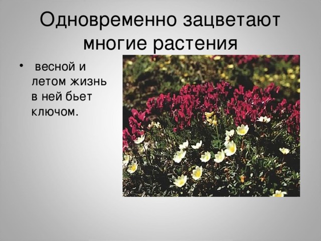  весной и летом жизнь в ней бьет ключом. 