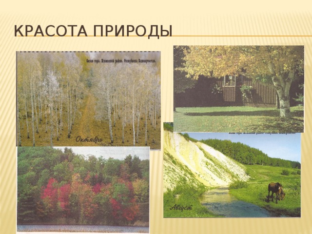 Красота природы 