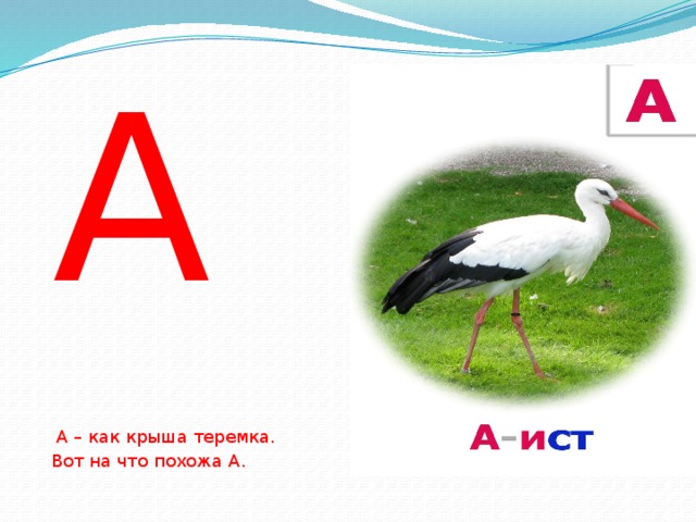 А  А – как крыша теремка.  Вот на что похожа А. 