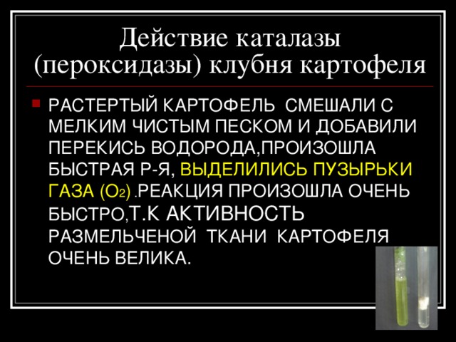Действие каталазы (пероксидазы) сырого мяса В ПРОБИРКУ ПОМЕСТИЛИ  КУСОЧЕК СЫРОГО МЯСА И ДОБАВИЛИ 2 МЛ Р-Р ПЕРЕКИСИ ВОДОРОДА ,ВСЕ МЯСО ПОКРЫЛОСЬ ПУЗЫРЬКАМИ  ГАЗА  (О 2 ). ( ПРОВЕРИЛИ ЭТО С ПОМОЩЬЮ  ТЛЕЮЩЕЙ ЛУЧИНКИ , ОНА РАЗГОРЕЛАСЬ.) 