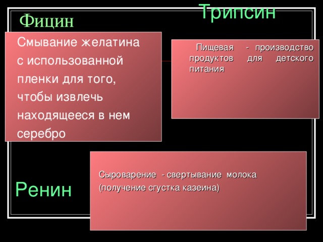 Протеазы(расщепляют белки)    Папаин  .     Пивоваренная Мясная Этапы процесса пивоварения, регулирующие качество пены фармацевтическая Умягче-ние мяса Добавки к зубным пастам для удаления зубного налета 