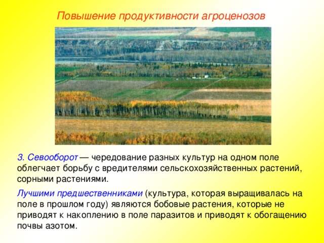 Повышение продуктивности агроценозов 3. Севооборот — чередование разных культур на одном поле облегчает борьбу с вредителями сельскохозяйственных растений, сорными растениями. Лучшими предшественниками (культура, которая выращивалась на поле в прошлом году) являются бобовые растения, которые не приводят к накоплению в поле паразитов и приводят к обогащению почвы азотом.  Создаются новые сорта, устойчивые к заболеваниям и приспособленные к различным климатическим зонам. Экономически выгоднее создать засухоустойчивые растения, чем организовать орошение больших площадей. К тому же орошение вызывает вторичное засоление почв, поэтому целесообразнее обратить внимание на сухое земледелие . Для борьбы с сорняками и вредителями сельского хозяйства наиболее эффективно создание сортов растений, устойчивых к вредителям и болезням. Эффективны и безопасны биологические методы контроля сорняков, вредителей и болезней, основанные на использовании их естественных врагов — хищников и паразитов.  