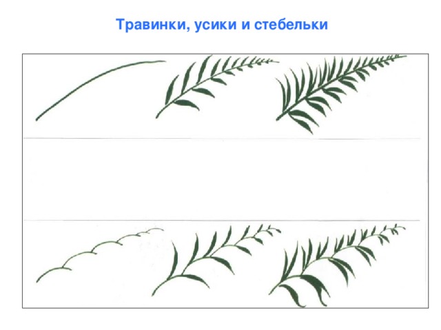 Травинки, усики и стебельки