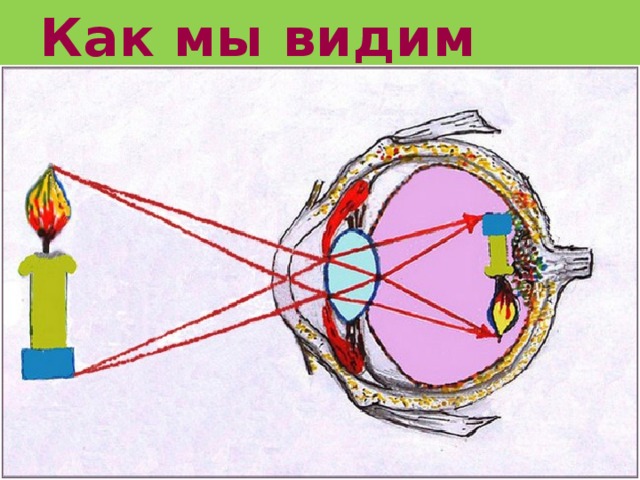 Как мы видим 