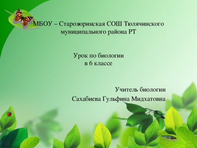 МБОУ – Старозюринская СОШ Тюлячинского муниципального района РТ    Урок по биологии  в 6 классе Учитель биологии Сахабиева Гульфина Мидхатовна 
