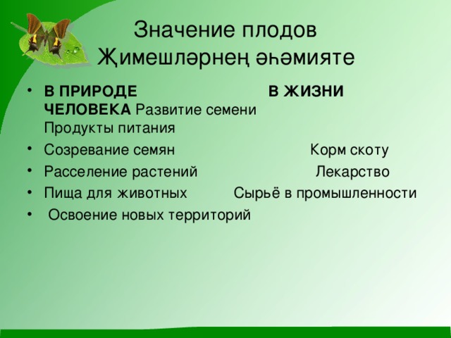 Значение плодов  Җимешләрнең әһәмияте В ПРИРОДЕ В ЖИЗНИ ЧЕЛОВЕКА Развитие семени Продукты питания Созревание семян Корм скоту Расселение растений Лекарство Пища для животных Сырьё в промышленности  Освоение новых территорий  