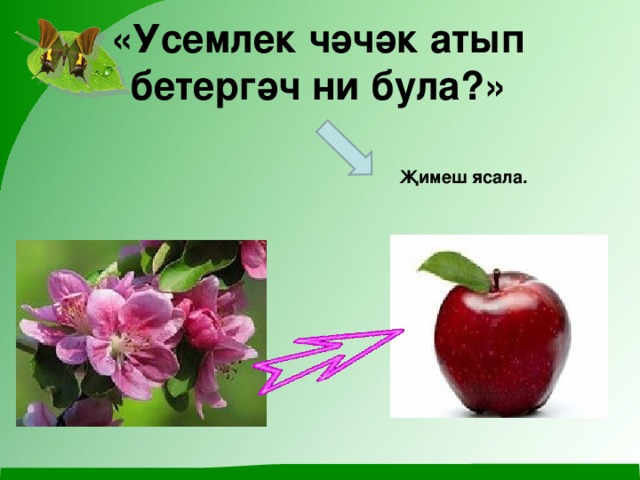 «Усемлек чәчәк атып бетергәч ни була?»   Җимеш ясала. 