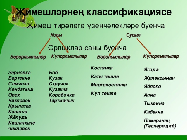 Җимешләрнең классификациясе Җимеш тирәлеге үзенчәлекләре буенча Костянка Каты төшле Многокостянка Күп төшле Ягода Җиләксыман Яблоко Алма Тыквина Кабакча Померанец (Гесперидий) Зерновка Бөртекчә Семянка Көнбагыш Орех Чикләвек Крылатка Канатча Жёлудь Кишәнкәле чикләвек Боб Кузак Стручок Кузакча Коробочка Тартмачык 