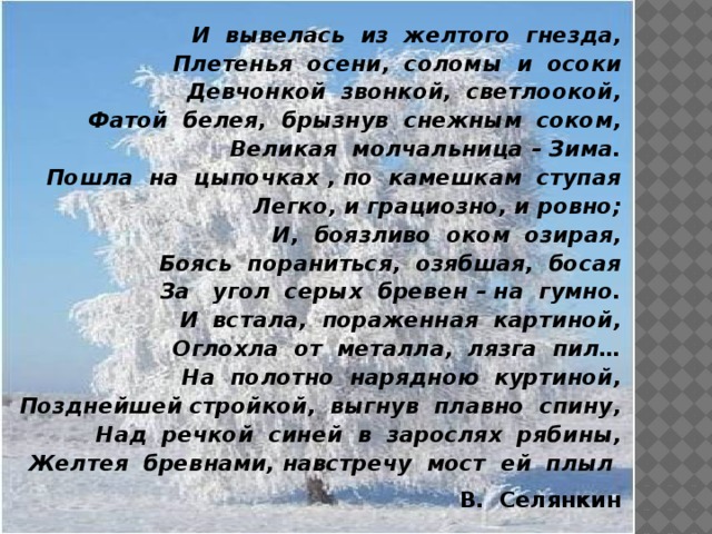 И вывелась из желтого гнезда, Плетенья осени, соломы и осоки Девчонкой звонкой, светлоокой, Фатой белея, брызнув снежным соком, Великая молчальница – Зима. Пошла на цыпочках , по камешкам ступая Легко, и грациозно, и ровно; И, боязливо оком озирая, Боясь пораниться, озябшая, босая За угол серых бревен – на гумно. И встала, пораженная картиной, Оглохла от металла, лязга пил… На полотно нарядною куртиной, Позднейшей стройкой, выгнув плавно спину, Над речкой синей в зарослях рябины, Желтея бревнами, навстречу мост ей плыл  В. Селянкин И вывелась из желтого гнезда, Плетенья осени, соломы и осоки Девчонкой звонкой, светлоокой, Фатой белея, брызнув снежным соком, Великая молчальница – Зима. Пошла на цыпочках , по камешкам ступая Легко, и грациозно, и ровно; И, боязливо оком озирая, Боясь пораниться, озябшая, босая За угол серых бревен – на гумно. И встала, пораженная картиной, Оглохла от металла, лязга пил… На полотно нарядною куртиной, Позднейшей стройкой, выгнув плавно спину, Над речкой синей в зарослях рябины, Желтея бревнами, навстречу мост ей плыл  В. Селянкин 
