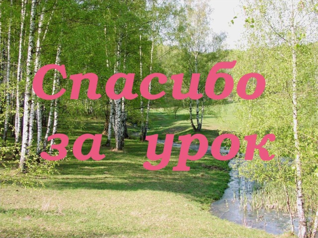 Спасибо за урок 