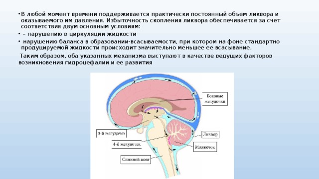 В любой момент времени поддерживается практически постоянный объем ликвора и оказываемого им давления. Избыточность скопления ликвора обеспечивается за счет соответствия двум основным условиям: – нарушению в циркуляции жидкости  нарушению баланса в образовании-всасываемости, при котором на фоне стандартно продуцируемой жидкости происходит значительно меньшее ее всасывание.  Таким образом, оба указанных механизма выступают в качестве ведущих факторов возникновения гидроцефалии и ее развития   