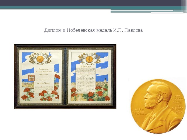 Диплом и Нобелевская медаль И.П. Павлова 
