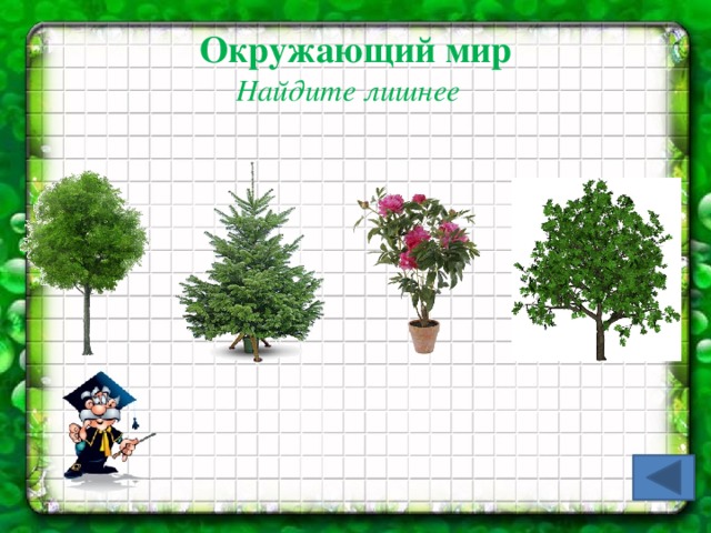 Окружающий мир  Найдите лишнее 