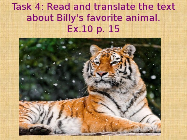 Task 4 : Read and translate the text about Billy's favorite animal.  Ex.10 p. 15 . 