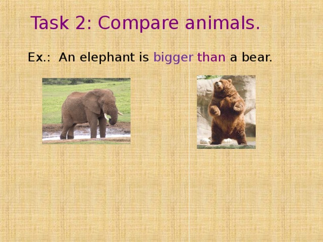 Task 2 : Compare animals.   Ex.: An elephant is bigger  than a bear. 