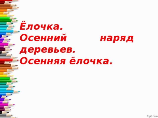 Ёлочка. Осенний наряд деревьев. Осенняя ёлочка.