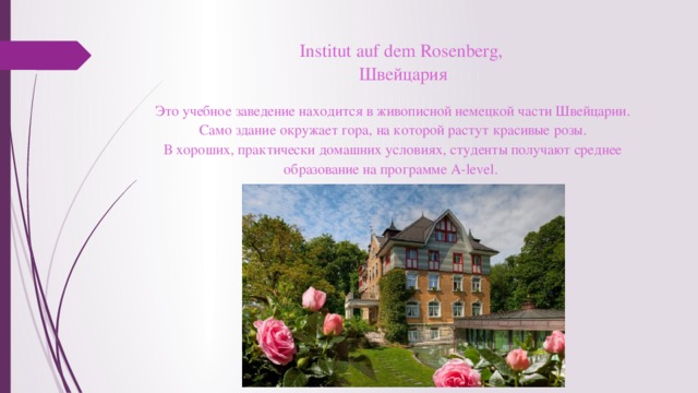 Institut auf dem Rosenberg,  Швейцария   Это учебное заведение находится в живописной немецкой части Швейцарии. Само здание окружает гора, на которой растут красивые розы. В хороших, практически домашних условиях, студенты получают среднее образование на программе A-level. 
